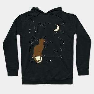 Cat Looking At Moon Hoodie